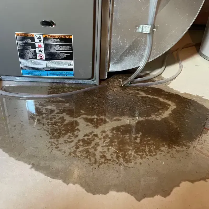 Appliance Leak Cleanup in Sandersville, GA